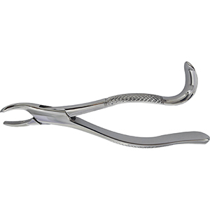 Extracting Forceps - American Pattern