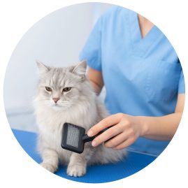 4b41a8ec-a098-4b3e-9497-c505a07c3312 4b41a8ec-a098-4b3e-9497-c505a07c3312